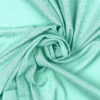 LIGHT GREEN 35 - 137 224 193