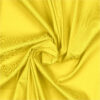 YELLOW 25 - 245 232 58