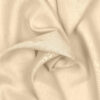 BEIGE 22 - 233 219 181
