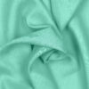 LIGHT GREEN 35 - 137 224 193