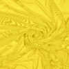 YELLOW 25 - 245 232 58