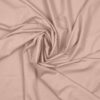 BLUSH 22 - 217 186 172