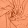 ORANGE 105 - 255 168 132