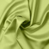 LIGHT GREEN 127 - 199 222 125