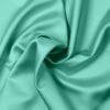 LIGHT GREEN 42 - 129 221 198