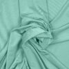 LIGHT GREEN 40 - 163 225 211